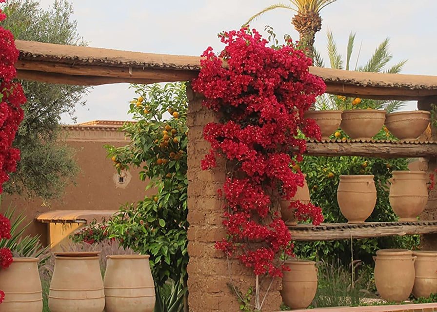 A few days in Marrakech...