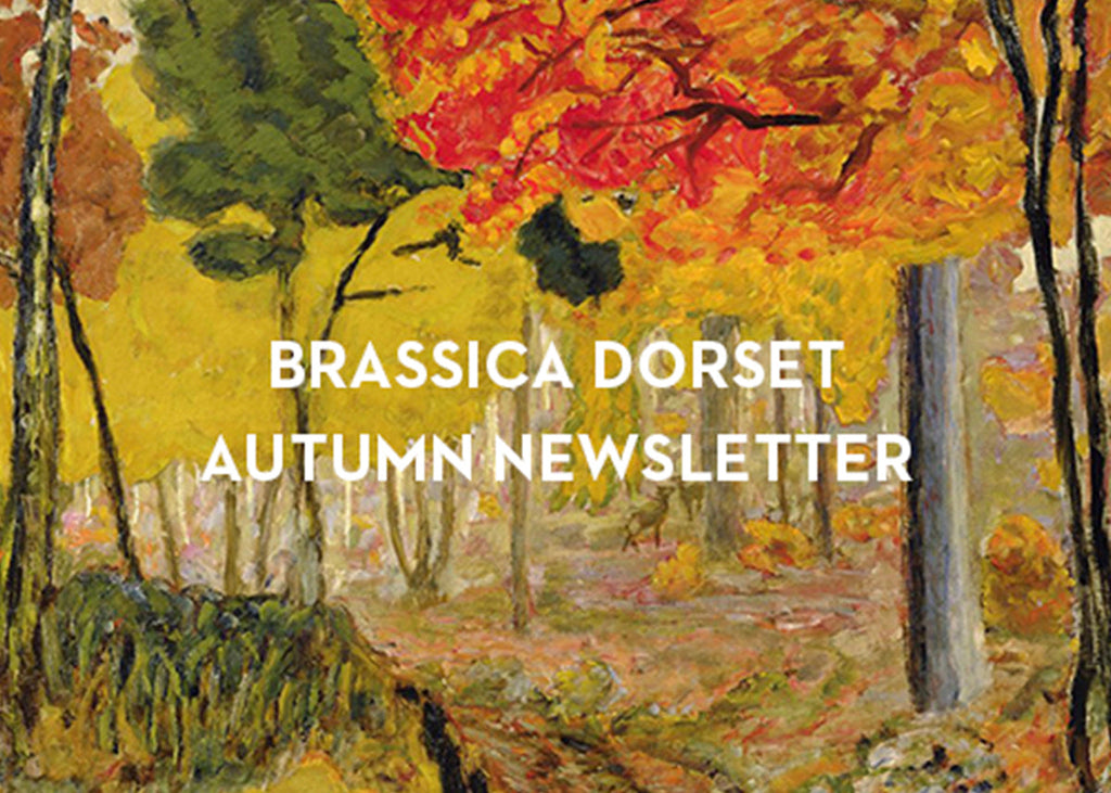 Autumn Newsletter 2026