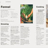 Page from a book or magazine about fennel, including text and images of fennel plants and dishes.